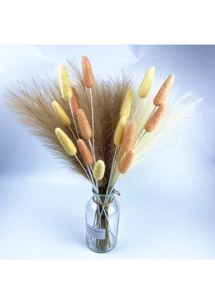 Turuncu 55CM 5 Adet 55CM Sahte Pampas Çim Yapay Görkemli Çim Vazo Dolgu Çiçek Ev, Oturma Odası, Mutfak, Düğün, Boho Dekor (Yurt Dışından) modelleri