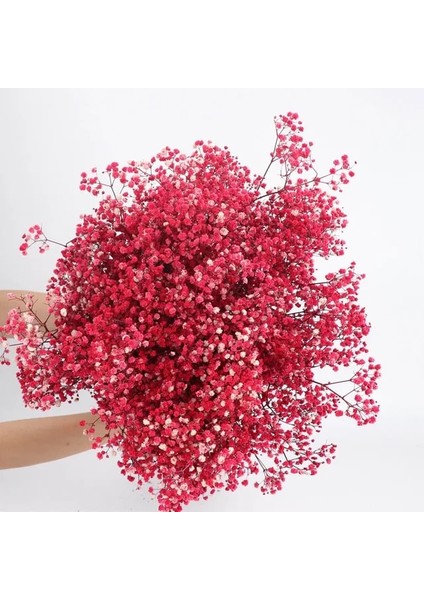 Kırmızı 30G Beyaz Doğal Kurutulmuş Gypsophila Bebeğin Nefesi Kurutulmuş Çiçekler Gypsophila Aranjmanı Ev Dekorasyon Düğün Masa Dekor Çiçek Dıy (Yurt Dışından)
