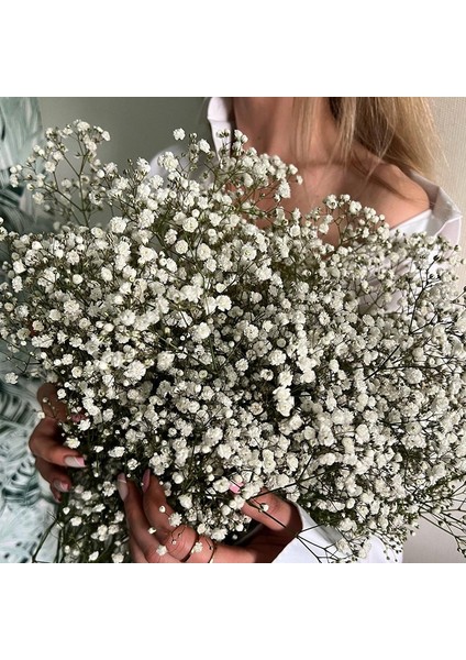 Kırmızı 30G Beyaz Doğal Kurutulmuş Gypsophila Bebeğin Nefesi Kurutulmuş Çiçekler Gypsophila Aranjmanı Ev Dekorasyon Düğün Masa Dekor Çiçek Dıy (Yurt Dışından)