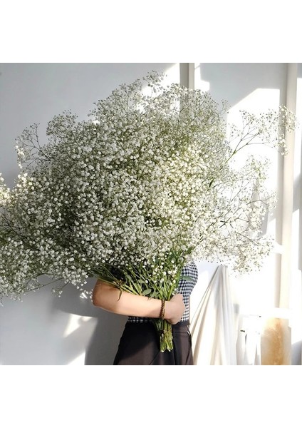 Kırmızı 30G Beyaz Doğal Kurutulmuş Gypsophila Bebeğin Nefesi Kurutulmuş Çiçekler Gypsophila Aranjmanı Ev Dekorasyon Düğün Masa Dekor Çiçek Dıy (Yurt Dışından)