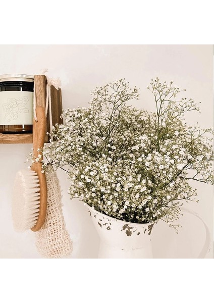 Kırmızı 30G Beyaz Doğal Kurutulmuş Gypsophila Bebeğin Nefesi Kurutulmuş Çiçekler Gypsophila Aranjmanı Ev Dekorasyon Düğün Masa Dekor Çiçek Dıy (Yurt Dışından)