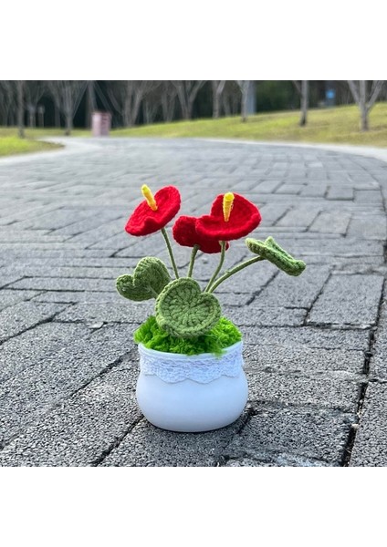 Antoryum Tığ Işi Ayçiçeği Saksı Bitki, Sahte Çiçek Bonsai, Gül, Kaktüs, Antoryum, Calla, Yonca, Lale, Papatya, Ev Masası Dekoru Için Dokuma Hediye (Yurt Dışından)