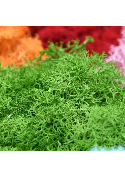 B07 40G 20/40G Doğal Ebedi Yaşam Yeşil Yosun Yapay Bitki Ev Bahçe Çim Dekor Çim Dıy Mikro Peyzaj Çiçekler Aksesuarları (Yurt Dışından) indirimleri