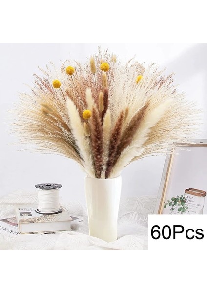 60 Kaynaklanıyor Yaklaşık 55 cm (Vazo Yok) 100 Adet/grup Pampas Seti Dekorasyon Kabarık Doğal Oturma Odası Dekorasyon Uzun Pampas Çim Kurutulmuş Çiçekler Buket Boho Ev Dekor (Yurt Dışından) fiyatları