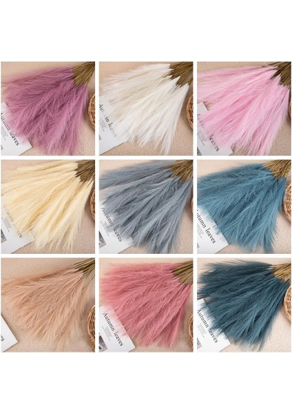 C Beyaz 5 Adet/55 cm Yapay Pampas Kamış Buket Bohemian Kamış Simülasyon Yeşil Bitki Dıy Aile Dekorasyon Düğün Parti Dekorasyon (Yurt Dışından)