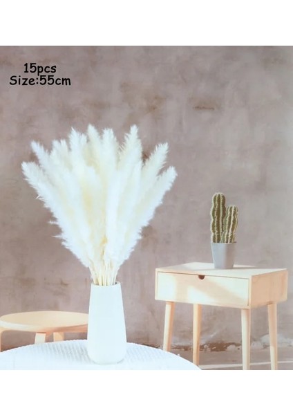 C Beyaz 5 Adet/55 cm Yapay Pampas Kamış Buket Bohemian Kamış Simülasyon Yeşil Bitki Dıy Aile Dekorasyon Düğün Parti Dekorasyon (Yurt Dışından) fiyatları