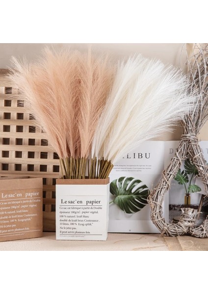 C Beyaz 5 Adet/55 cm Yapay Pampas Kamış Buket Bohemian Kamış Simülasyon Yeşil Bitki Dıy Aile Dekorasyon Düğün Parti Dekorasyon (Yurt Dışından) indirimleri