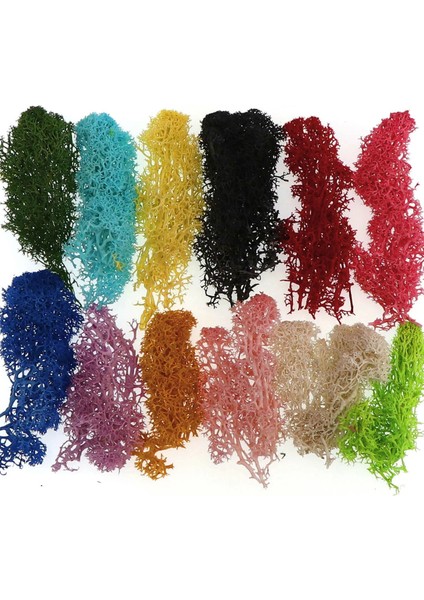 40G 20/40G Doğal Norveç Ren Geyiği Yosun Korunmuş Kurutulmuş Zanaat Çiçek Ercik Dekorasyon Düğün Süsleme Peri Bahçe Dekor Erişim (Yurt Dışından) fırsatları