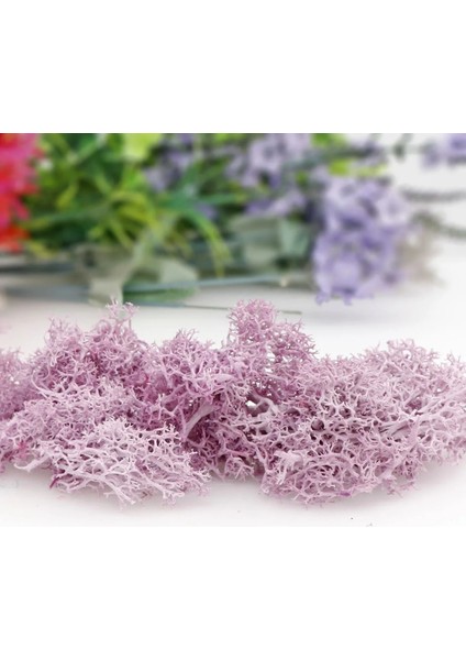 40G 20/40G Doğal Norveç Ren Geyiği Yosun Korunmuş Kurutulmuş Zanaat Çiçek Ercik Dekorasyon Düğün Süsleme Peri Bahçe Dekor Erişim (Yurt Dışından) indirimleri