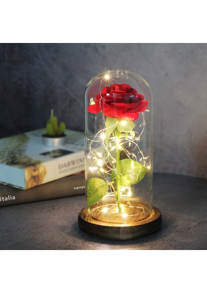 114 Yapay Çiçekler Güzel ve Çirkin Ebedi Gül Cam Kapak Sevgililer Günü Düğün Doğum Günü Dekor Hediye Için (Yurt Dışından) fiyatları