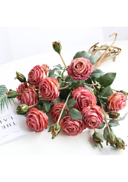 Şeftali Unu 2021 Yeni 1 Demet 2 Yapay Avrupa Şakayık Çay Gülü Kamelya Ipek Yapay Çiçek Çiçek Dıy Ev Bahçe Düğün Dekorasyon (Yurt Dışından) fiyatları