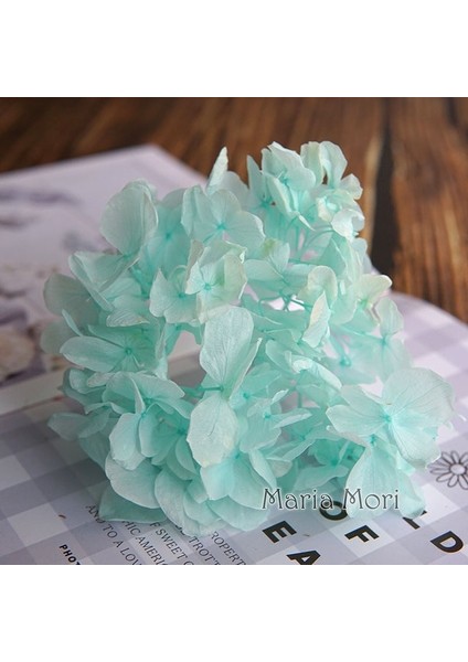 Renk M032 20G Büyük Yaprakları Macrophylla Korunmuş Ortanca Ofis Dekor Korunmuş Çiçekler Ev Dekorasyon Anna Ortanca Düğün Dekorasyon (Yurt Dışından)