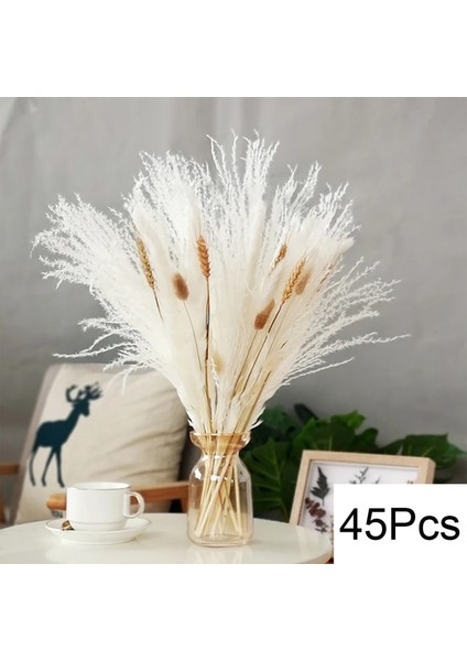 45 Kaynaklanıyor Yaklaşık 55 cm (Vazo Yok) 100 Adet/grup Pampas Seti Dekorasyon Kabarık Doğal Oturma Odası Dekorasyon Uzun Pampas Çim Kurutulmuş Çiçekler Buket Boho Ev Dekor (Yurt Dışından) fiyatları