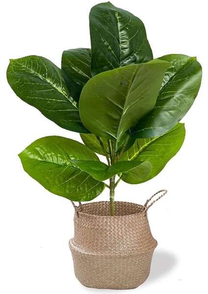 Saksısız F 43 cm 9 Yaprak Yapay Bitkiler Şube Sahte Ficus Ağacı Plastik Banyan Yaprakları Ev Odası Masaüstü Dekor Için Kauçuk Küçük Meşe Yeşillik (Yurt Dışından)