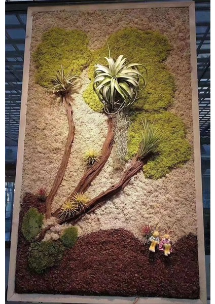 Siyah 40G 20G Yapay Bitki Sonsuz Yaşam Yosun/bahçe Ev Dekorasyon Duvar Dıy Çiçek Malzemesi Mini Bahçe Mikro Peyzaj Aksesuarları (Yurt Dışından) modelleri