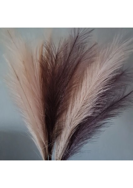 Açık Mor 45 cm 1 Adet Yapay Pampas Çim Buketi Yeni Yıl Tatil Düğün Parti Ev Dekorasyon Bitki Simülasyon Sahte Çiçek Kamış (Yurt Dışından) indirimleri
