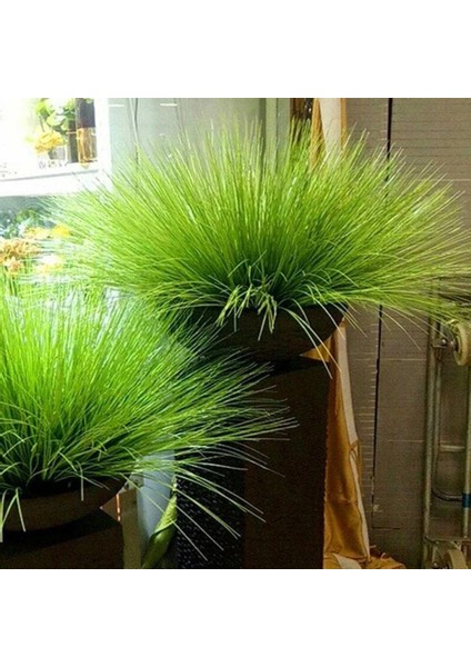 65 cm Kırmızı Yeşil 65-70 cm Yapay Soğan Çim Demet Çiçek Aranjmanı Aksesuarları Kamış Çiçek Düğün Dekorasyon Bahçe Partisi Ev Deco Bitkiler (Yurt Dışından) fırsatları