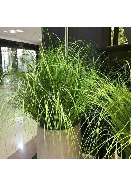 65 cm Kırmızı Yeşil 65-70 cm Yapay Soğan Çim Demet Çiçek Aranjmanı Aksesuarları Kamış Çiçek Düğün Dekorasyon Bahçe Partisi Ev Deco Bitkiler (Yurt Dışından) indirimleri
