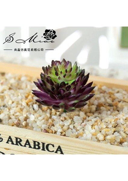 Jww Mor Yeşil Mini Yapay Etli Bitkiler Ev Yatak Odası Oturma Odası Masaüstü Dekorasyon Küçük Orta Büyük Yeşil Kırmızı Dıy Sahte Bitkiler Bonsai (Yurt Dışından)