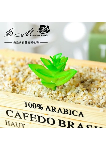 Sxl Yeşil Mini Yapay Etli Bitkiler Ev Yatak Odası Oturma Odası Masaüstü Dekorasyon Küçük Orta Büyük Yeşil Kırmızı Dıy Sahte Bitkiler Bonsai (Yurt Dışından)