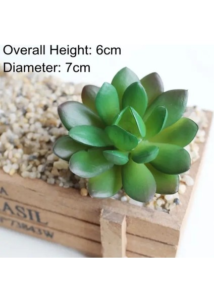 Yihao Baoshihua Yapay Yeşil Mor Kırmızı Mavi Etli Bitkiler Ev Bahçe Düğün Dekorasyon Mini Masaüstü Bonsai Dıy Plante Artificielle (Yurt Dışından)