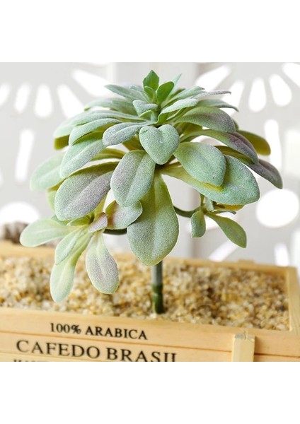 Stil 7 Yeşil Akın Yapay Succulents Bitkiler Ev Bahçe Dekorasyonu Çiçek Aranjmanı Banyo Aksesuarları Planta Yapay (Yurt Dışından) fiyatları