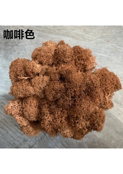 Stil 5 20G 20G Yapay Bitki Sonsuz Yaşam Yosun/bahçe Ev Dekorasyon Duvar Dıy Çiçek Malzemesi Mini Bahçe Mikro Peyzaj Aksesuarları (Yurt Dışından) fiyatları