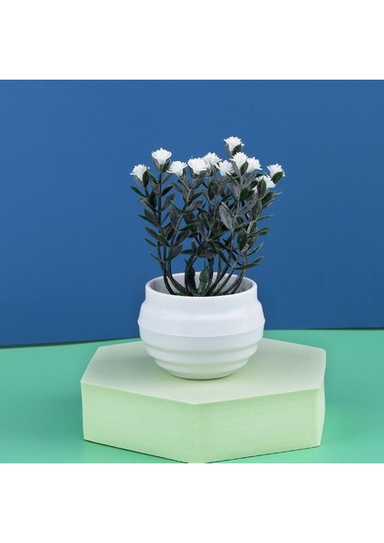 Stil 5 Mini Yapay Aloe Vera Bonsai Küçük Simülasyon Ağacı Saksı Yapay Çiçek Masası Saksı Süsler Ev Dekorasyon El Sanatları (Yurt Dışından)