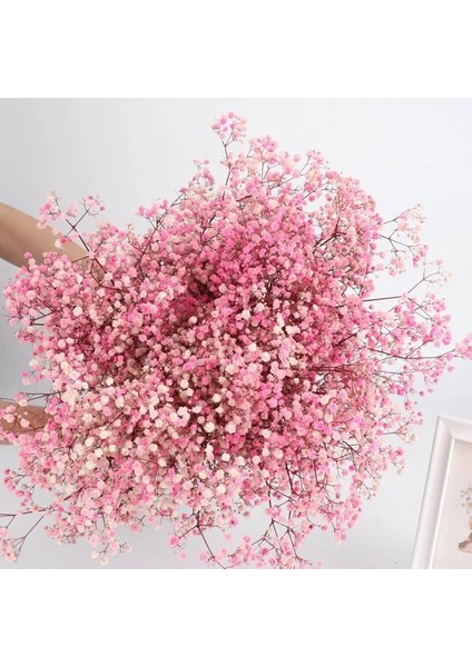 Pembe 100G Beyaz Doğal Kurutulmuş Gypsophila Bebeğin Nefesi Kurutulmuş Çiçekler Gypsophila Aranjmanı Ev Dekorasyon Düğün Masa Dekor Çiçek Dıy (Yurt Dışından)