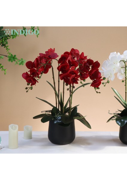 Gök Mavisi Kırmızı Phalaenopsis 70/78/90 cm Güve Orkide 3D Gerçek Dokunmatik Yaprakları Dekorasyon Düğün Kelebek Çiçek Çiçek Ev Partisi - Indıgo (Yurt Dışından)