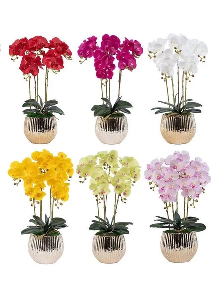 Gök Mavisi Kırmızı Phalaenopsis 70/78/90 cm Güve Orkide 3D Gerçek Dokunmatik Yaprakları Dekorasyon Düğün Kelebek Çiçek Çiçek Ev Partisi - Indıgo (Yurt Dışından) indirimleri