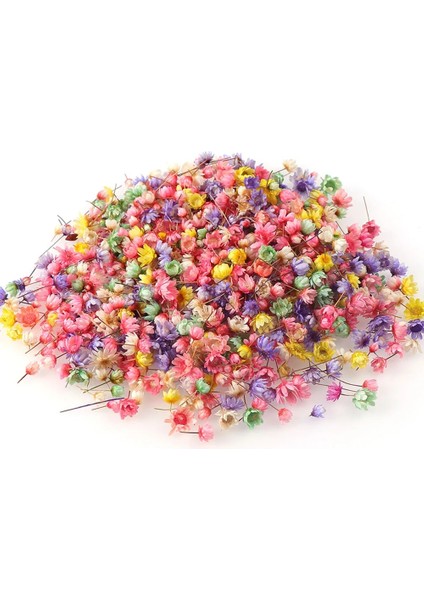 Pembe 100/200 Adet Kurutulmuş Çiçekler Brezilya Küçük Yıldız Çiçek Dıy Zanaat Epoksi Reçine Mum Tırnak Sanat Epoksi Reçine Dolum Takı Yapımı (Yurt Dışından) fırsatları