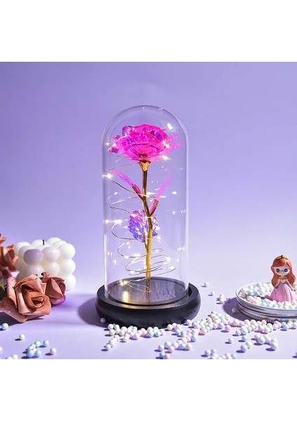 Siyah Taban-Pembe Kadınlar Için Hediyeler Güzel ve Çirkin Korunmuş Güller Cam Galaxy Gül LED Işık Yapay Çiçek Kızlar Için Doğum Günü Hediyesi (Yurt Dışından)