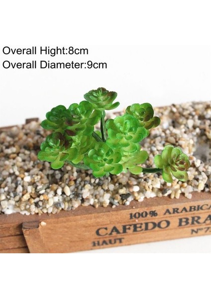 Küçük Xianrenke Yeşil Yapay Succulents Bitkiler Ev Bahçe Yatak Odası Balkon Masaüstü Masa Mini Bonsai Düğün Parti Dekorasyon Sahte Bitkiler (Yurt Dışından)