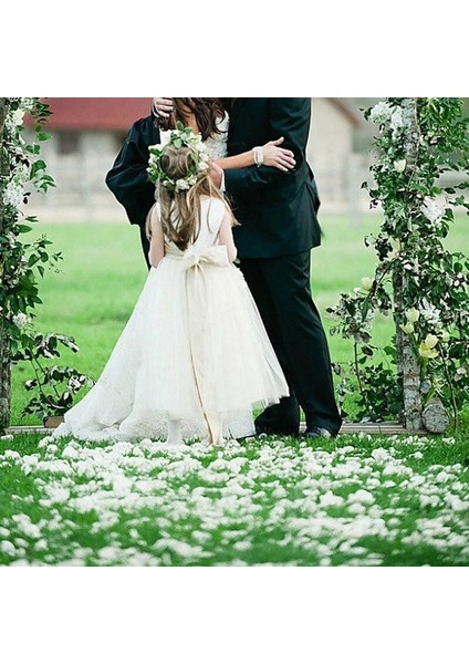Şampanya 100 Adet 100/500/1000 Adet Renkli Romantik Ipek Gül Yaprakları Yapay Düğün Çiçek Petal Düğün Parti Çiçek Dekorasyon Şekeri 50% (Yurt Dışından)