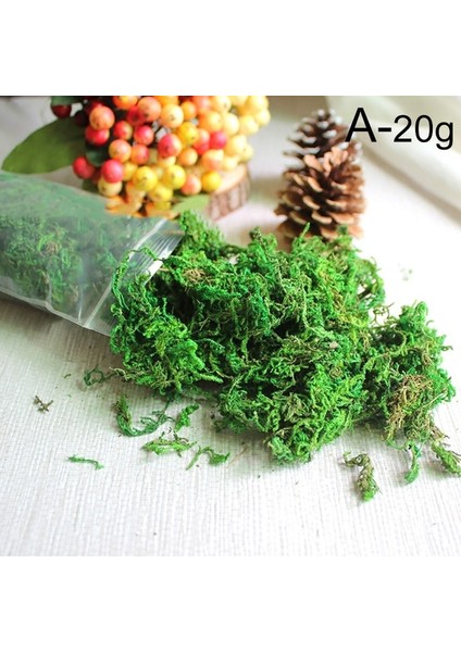 Stil 1 20G/50G/100G Yüksek Kaliteli Yapay Yosun Simülasyon Sahte Yeşil Bitkiler Yosun Ev Dekoratif Duvar Dıy Mikro Peyzaj Aksesuarları (Yurt Dışından)