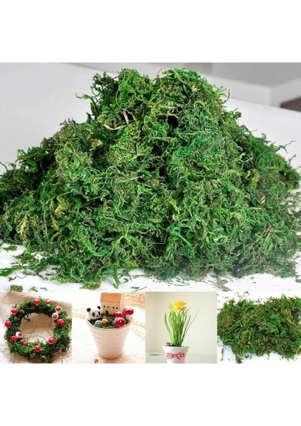Stil 1 20G/50G/100G Yüksek Kaliteli Yapay Yosun Simülasyon Sahte Yeşil Bitkiler Yosun Ev Dekoratif Duvar Dıy Mikro Peyzaj Aksesuarları (Yurt Dışından) fiyatları