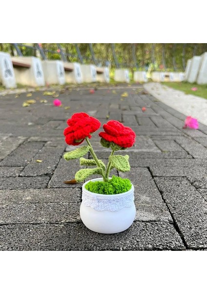 Calla Zambak Tığ Ayçiçeği Saksı Bitki, Sahte Çiçek Bonsai, Gül, Kaktüs, Antoryum, Calla, Yonca, Lale, Papatya, Ev Masası Dekoru Için Dokuma Hediye (Yurt Dışından)