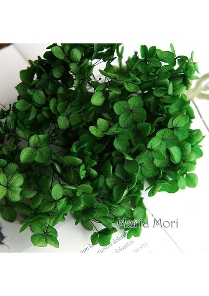 Renk S023 20G Renkli Korunmuş Ortanca Ev Dekorasyon Düğün Dekorasyon Küçük Yaprak Anna Ortanca Epoksi El Yapımı Dıy Malzeme (Yurt Dışından)