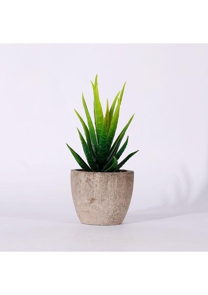 Stil 11 Plastik Yapay Etli Bitkiler Sahte Dekoratif Top Bitkiler Simülasyon Mini Mini Yapay Bonsai Ev Dekor Için (Yurt Dışından)