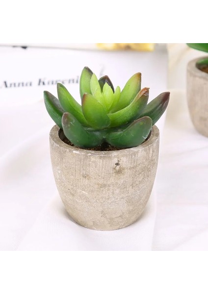 Stil 11 Plastik Yapay Etli Bitkiler Sahte Dekoratif Top Bitkiler Simülasyon Mini Mini Yapay Bonsai Ev Dekor Için (Yurt Dışından)