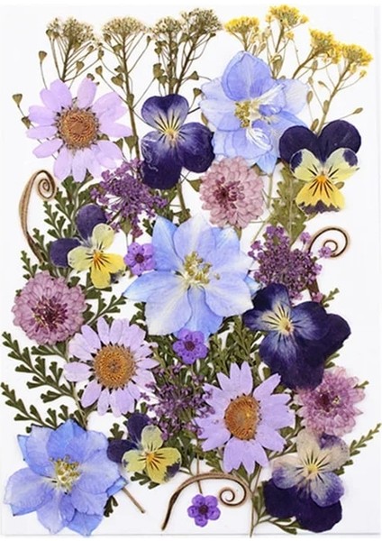 Paketi S 1 Kutu Beyaz Kurutulmuş Çiçekler Dıy Aromaterapi Mum Yapımı Için Epoksi Reçine Kalıp Takı Aksesuarları Düğün Buket Ev Dekorasyon (Yurt Dışından)