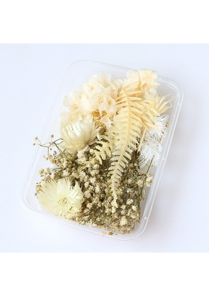 Paketi S 1 Kutu Beyaz Kurutulmuş Çiçekler Dıy Aromaterapi Mum Yapımı Için Epoksi Reçine Kalıp Takı Aksesuarları Düğün Buket Ev Dekorasyon (Yurt Dışından) modelleri