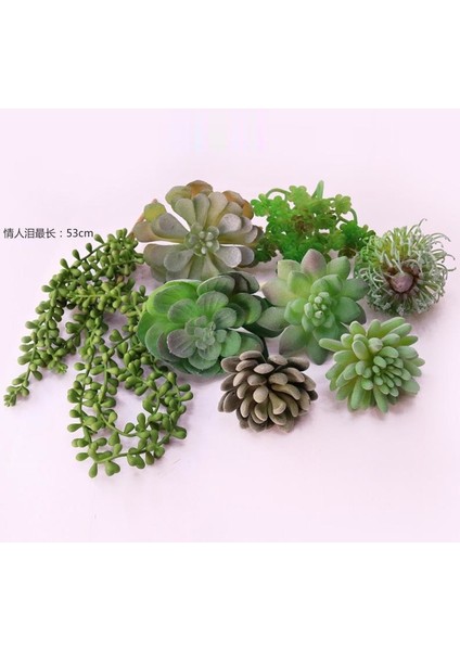 Fg La Jiao Cao Yapay Succulents Bitkiler Ev Bahçe Yatak Odası Oturma Odası Ofis Dekorasyon Aksesuarları Sahte Bitkiler Masaüstü Mini Küçük Bonsai (Yurt Dışından)
