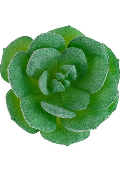 22 Yapay Succulents Yeşil Akın Bitki Kaktüs Sahte Çiçek Masaüstü Manzara Festivali Düğün Ev Bahçe Dekorasyonu (Yurt Dışından)