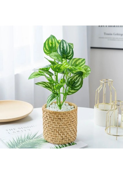 SS22 Yapay Bitkiler Yeşil Palmiye Yaprakları Noel Ev Düğün Bahçe Oturma Odası Yatak Odası Balkon Dekorasyon Sahte Plastik Çiçekler (Yurt Dışından) fiyatları