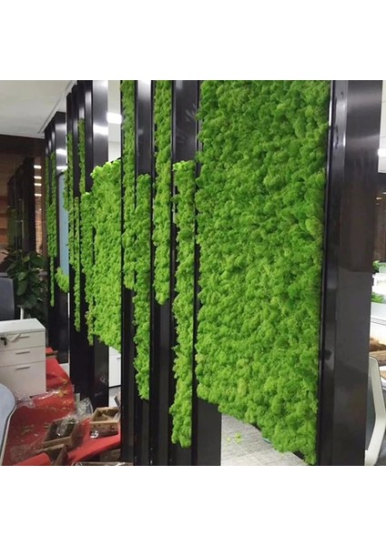 200G Pembe 200G/1 Kutu Yeşil Doğal Korunmuş Yosun Kalıcı Korunmuş Ev Bahçe Düğün Dekorasyon Malzemeleri Yosun Çiçeğiyapay Bitki (Yurt Dışından) modelleri