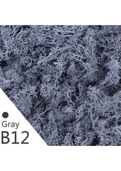 Y12 20 Gram 40/20G Yapay Ölümsüz Yosun Yeşil Sahte Bitki Ev Bahçe Oturma Odası Yeşillendirme Dekor Duvar Dolgu Çiçek Bitki Sahte Yosun (Yurt Dışından)