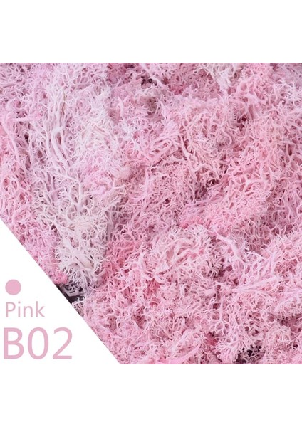 B02-PEMBE Yosun 40G 40/20G Yapay Yosun Çim Yeşil Sahte Bitki Ev Bahçe Duvarı Dekor Için Ebedi Yaşam Yosun Dıy Çiçek Mikro Peyzaj Aksesuarla (Yurt Dışından)