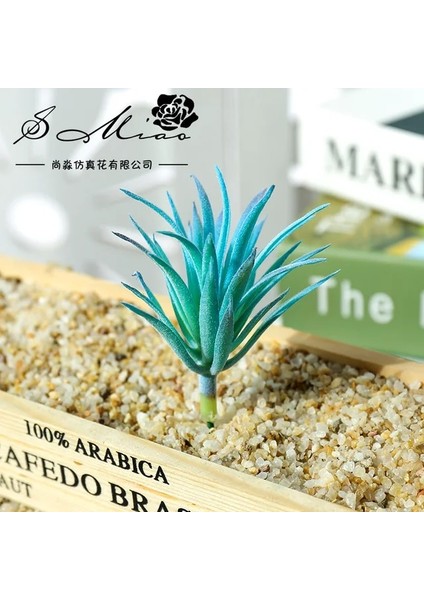 Ljc Akın Mavi Mini Yapay Etli Bitkiler Ev Yatak Odası Oturma Odası Masaüstü Dekorasyon Küçük Orta Büyük Yeşil Kırmızı Dıy Sahte Bitkiler Bonsai (Yurt Dışından)